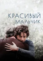  Красивый мальчик смотреть онлайн (2018) 