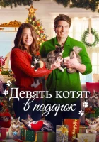  Девять рождественских котят смотреть онлайн (2021) 