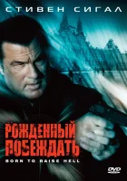  Рожденный побеждать смотреть онлайн (2010) 