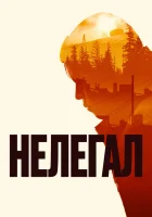  Нелегал смотреть онлайн (2021) 