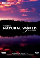  BBC: Живой мир смотреть онлайн сериал 1 сезон 