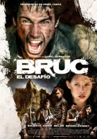  Брук. Вызов смотреть онлайн (2010) 