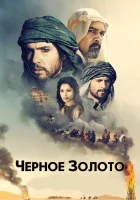  Черное золото Day of The Falcone смотреть онлайн (2011) 