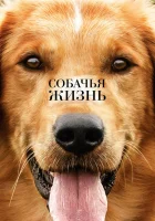  Собачья жизнь смотреть онлайн (2017) 