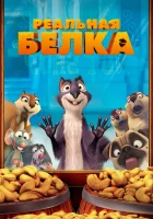  Реальная белка смотреть онлайн (2013) 
