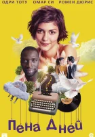  Пена дней смотреть онлайн (2013) 