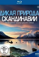  Дикая природа Скандинавии смотреть онлайн тв шоу 1 сезон 