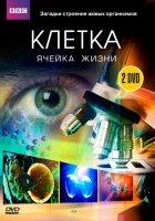  BBC: Клетка Клетка, или Из чего состоит жизнь смотреть онлайн сериал 1 сезон 