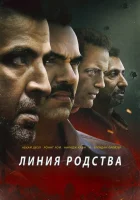  Линия родства Поле смотреть онлайн (2019) 