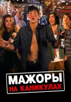  Мажоры на каникулах смотреть онлайн (2016) 