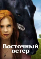  Восточный ветер смотреть онлайн (2013) 