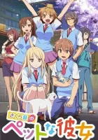  Кошечка из Сакурасо The Pet Girl of Sakurasou смотреть онлайн аниме сериал 1 сезон 