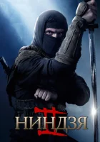  Ниндзя 2 смотреть онлайн (2013) 