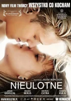  Прочный Неисчезающее смотреть онлайн (2013) 
