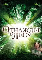 Однажды в лесу смотреть онлайн (2013) 