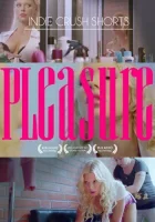  Удовольствие смотреть онлайн (2013) 