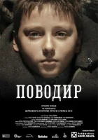  Поводырь смотреть онлайн (2013) 