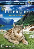  Норвегия 3D: Дикая природа смотреть онлайн (2013) 