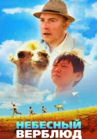  Небесный верблюд смотреть онлайн (2015) 