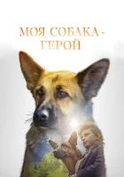  Моя собака — герой смотреть онлайн (2019) 