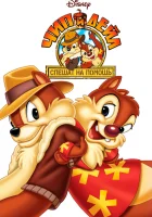  Чип и Дейл спешат на помощь смотреть онлайн мультсериал 1-3 сезон 