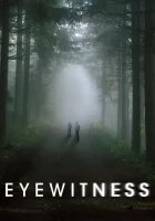  Свидетели смотреть онлайн сериал 1 сезон 