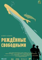  Рожденные свободными смотреть онлайн (2016) 