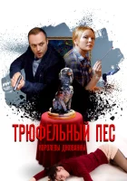  Трюфельный пес королевы Джованны смотреть онлайн сериал 1 сезон 