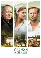  Угоняя лошадей смотреть онлайн (2019) 