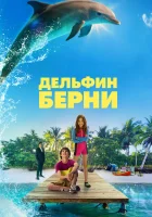  Дельфин Берни смотреть онлайн (2018) 