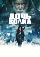  Дочь волка смотреть онлайн (2019) 