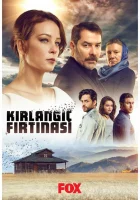  Шторм ласточки смотреть онлайн сериал 1 сезон 