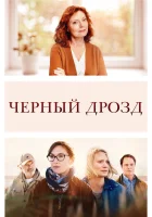  Чёрный дрозд смотреть онлайн (2019) 