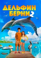  Дельфин Берни 2 смотреть онлайн (2019) 