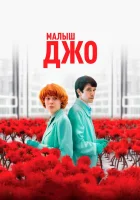  Малыш Джо смотреть онлайн (2019) 