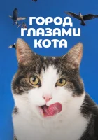  Город глазами кота смотреть онлайн (2018) 