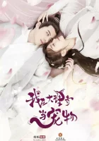  Кошка из палаты по уголовным делам Я любимец храма Дали / Я - питомец в храме Дали / Wo Zai Da Li Si Dang Chong Wu смотреть онлайн сериал 1 сезон 