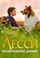  Лесси. Возвращение домой смотреть онлайн (2020) 