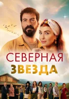  Полярная звезда Северная звезда смотреть онлайн сериал 1-2 сезон 