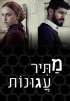  Освободитель соломенных вдов Брошенные жёны смотреть онлайн сериал 1 сезон 