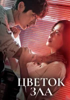  Цветок зла The Flower of Evil смотреть онлайн сериал 1 сезон 