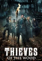  Фламандские разбойники Лесные разбойники смотреть онлайн сериал 1 сезон 