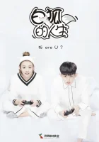  Жизнь белого лиса The Life of White Fox смотреть онлайн сериал 1 сезон 