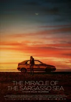  Чудо Саргассова моря смотреть онлайн (2019) 