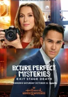  Идеальные преступления: Смерть за кулисами смотреть онлайн (2020) 