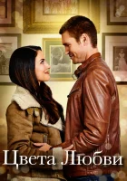  Цвета любви смотреть онлайн (2020) 