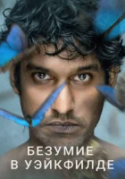  Безумие в Уэйкфилде смотреть онлайн сериал 1 сезон 
