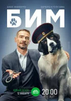  БИМ Пёс в законе смотреть онлайн сериал 1-3 сезон 