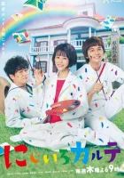  Радужная медицинская карта Nizi Village Clinic / Nijiiro Karute смотреть онлайн сериал 1 сезон 