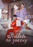  Любовь по закону Юридическое кафе / Юркафе / The Law Cafe / Beobdaelo Salanghala смотреть онлайн сериал 1 сезон 